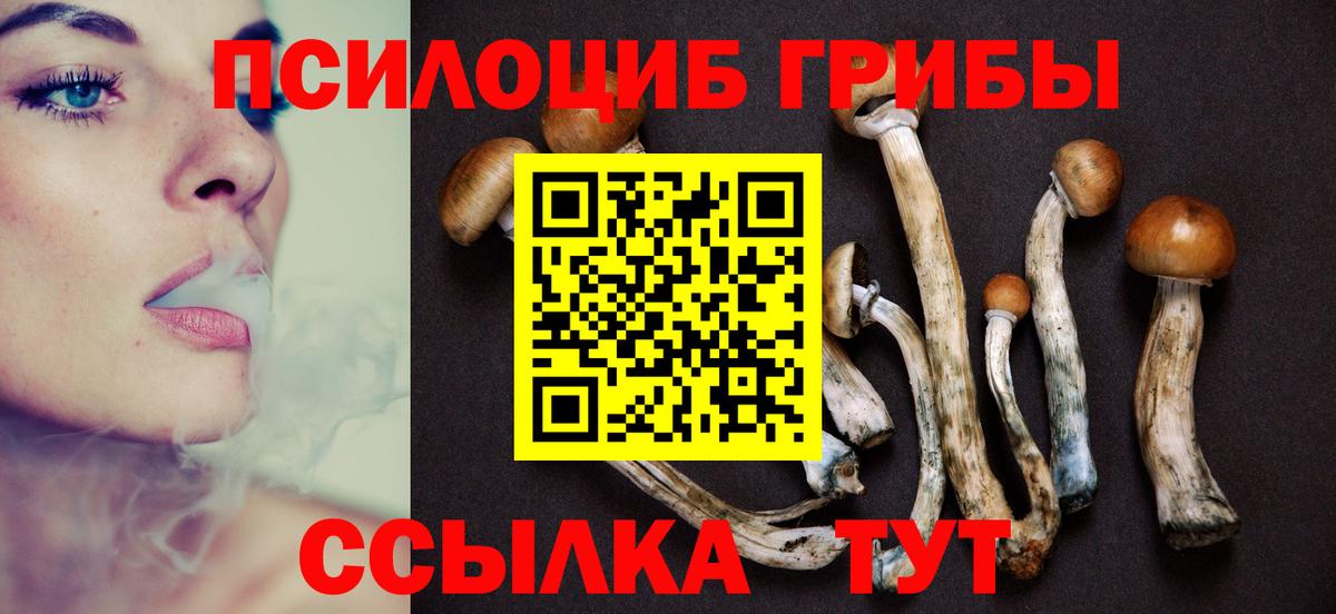 Псилоцибиновые грибы мухоморы  Галлюциногенные грибы Cubensis  купить наркоту  Вичуга  Вход с VPN 